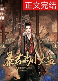 暴君的小太监讲的什么