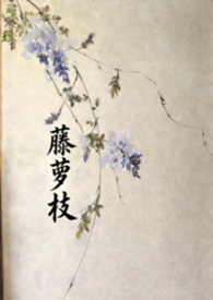藤萝为枝最新小说