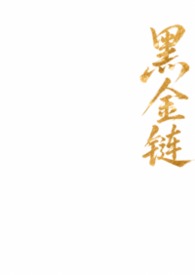 黑金链接